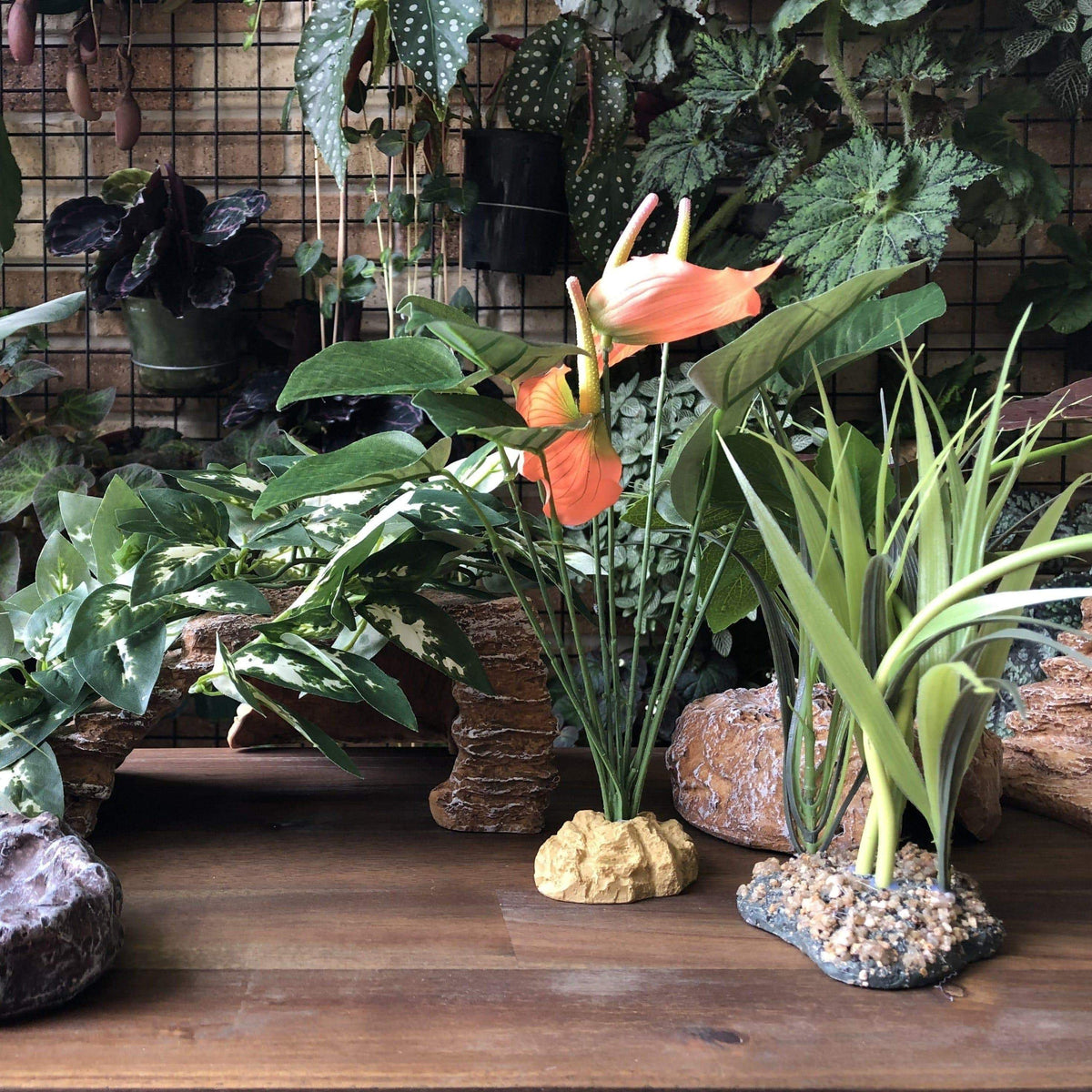 Artificial Anthurium Bush 29cm - Komodo - Tank Terrarium Australia Artificial Plant