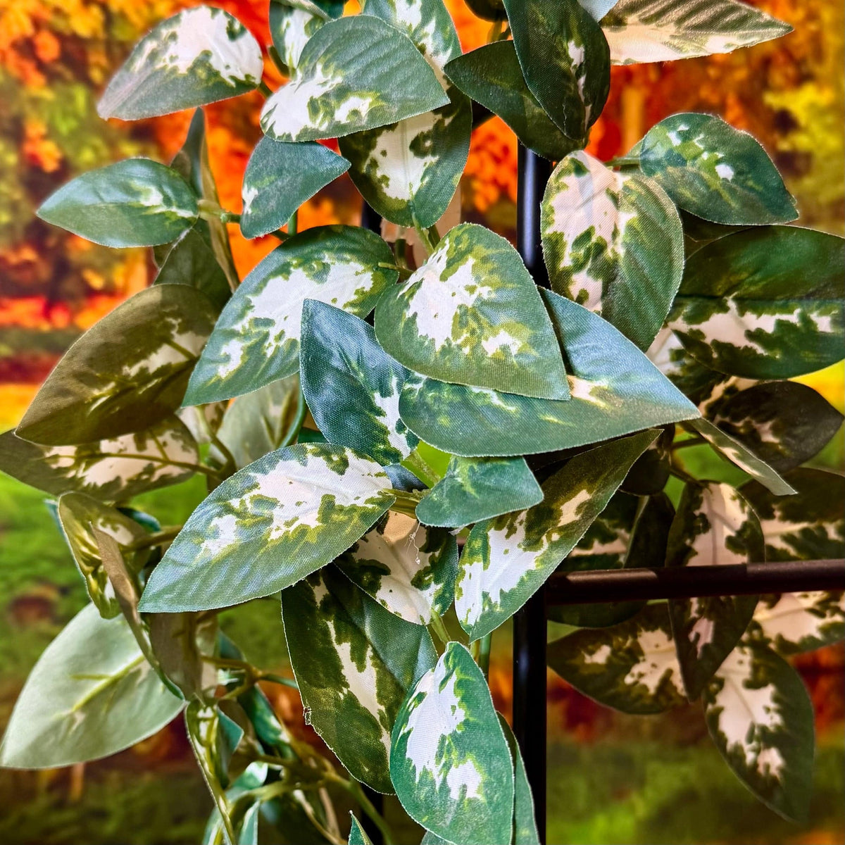 Borneo Hanging Vine Large 40cm - Komodo - Tank Terrarium Australia Artificial Plant