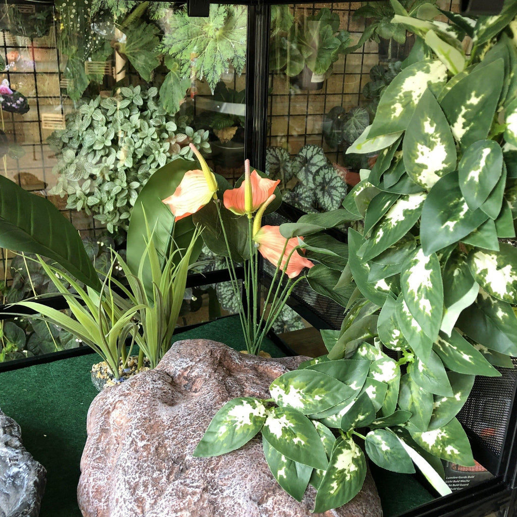 Borneo Hanging Vine Large 40cm - Komodo - Tank Terrarium Australia Artificial Plant