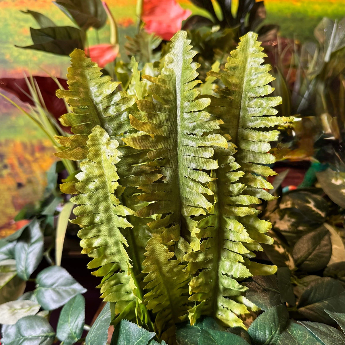 Artificial Boston Fern 25cm - Komodo - Tank Terrarium Australia Artificial Plant