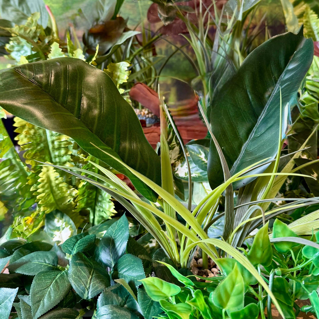 Artificial Evergreen Canopy 29cm - Komodo - Tank Terrarium Australia Artificial Plant