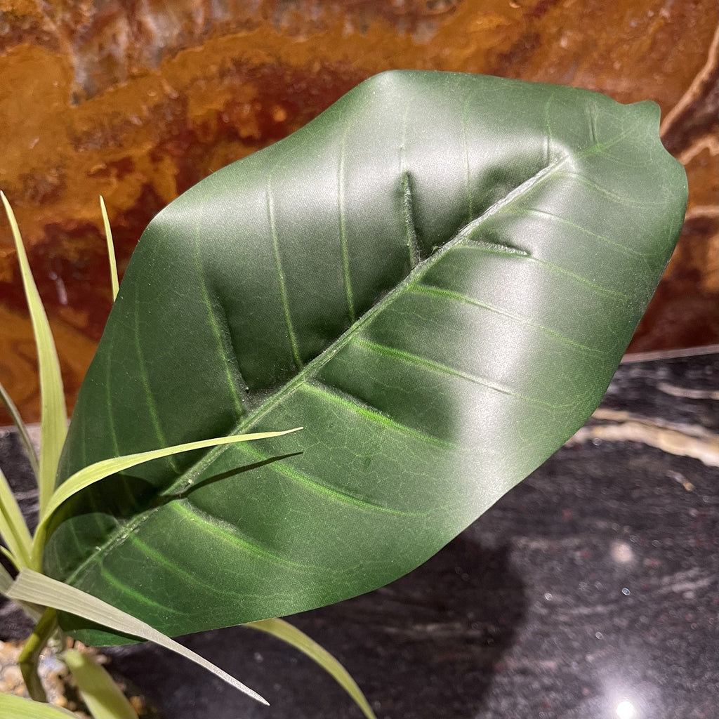 Artificial Evergreen Canopy 29cm - Komodo - Tank Terrarium Australia Artificial Plant