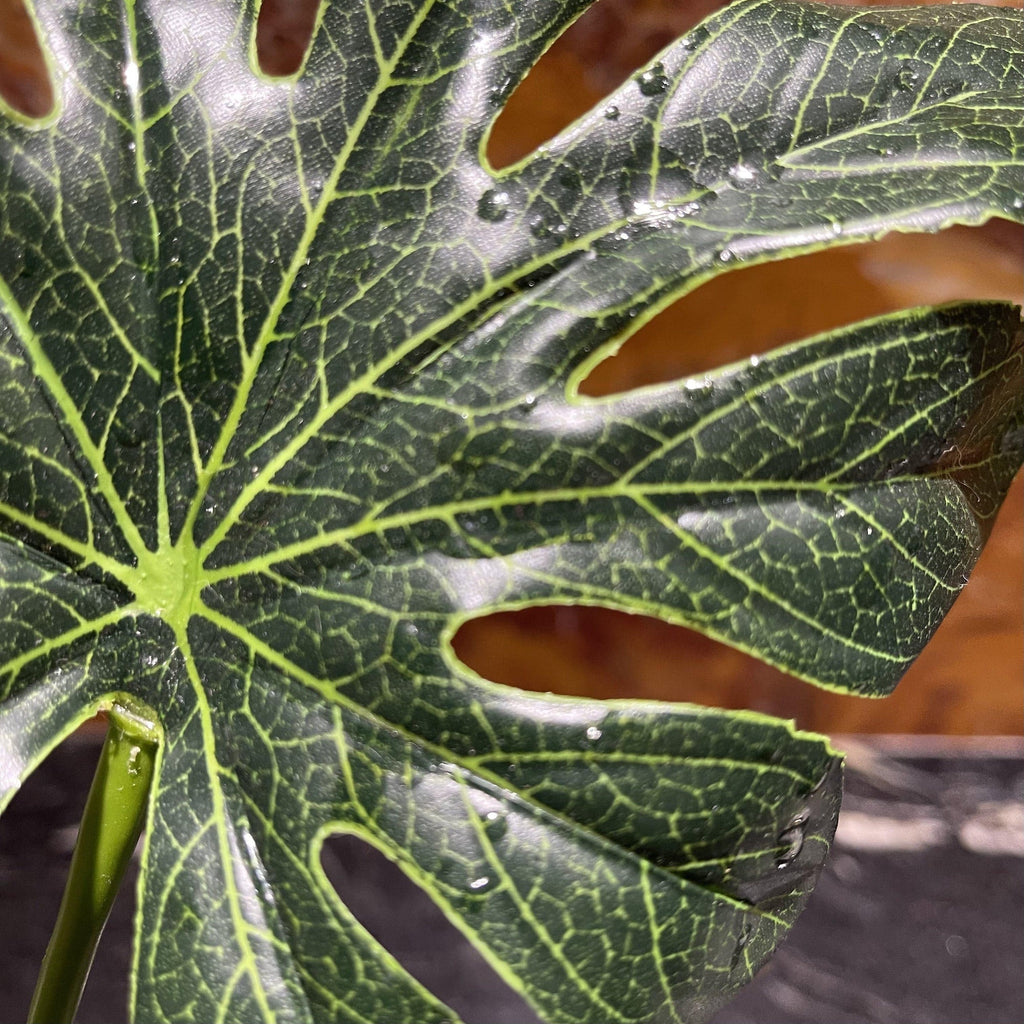 Artificial Jungle Canopy - Komodo - Tank Terrarium Australia Artificial Plant