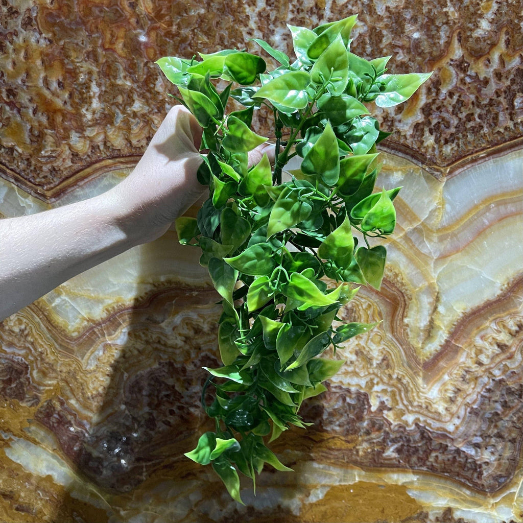 Philodendron Hanging Plant 30cm - Komodo - Tank Terrarium Australia Artificial Plant