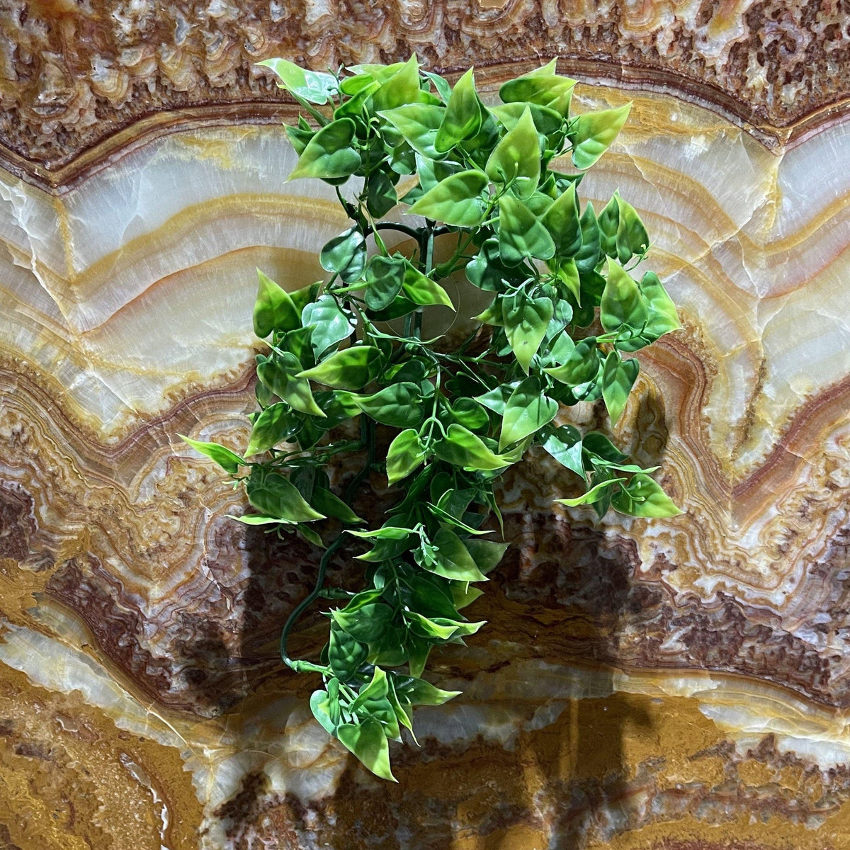 Philodendron Hanging Plant 30cm - Komodo - Tank Terrarium Australia Artificial Plant