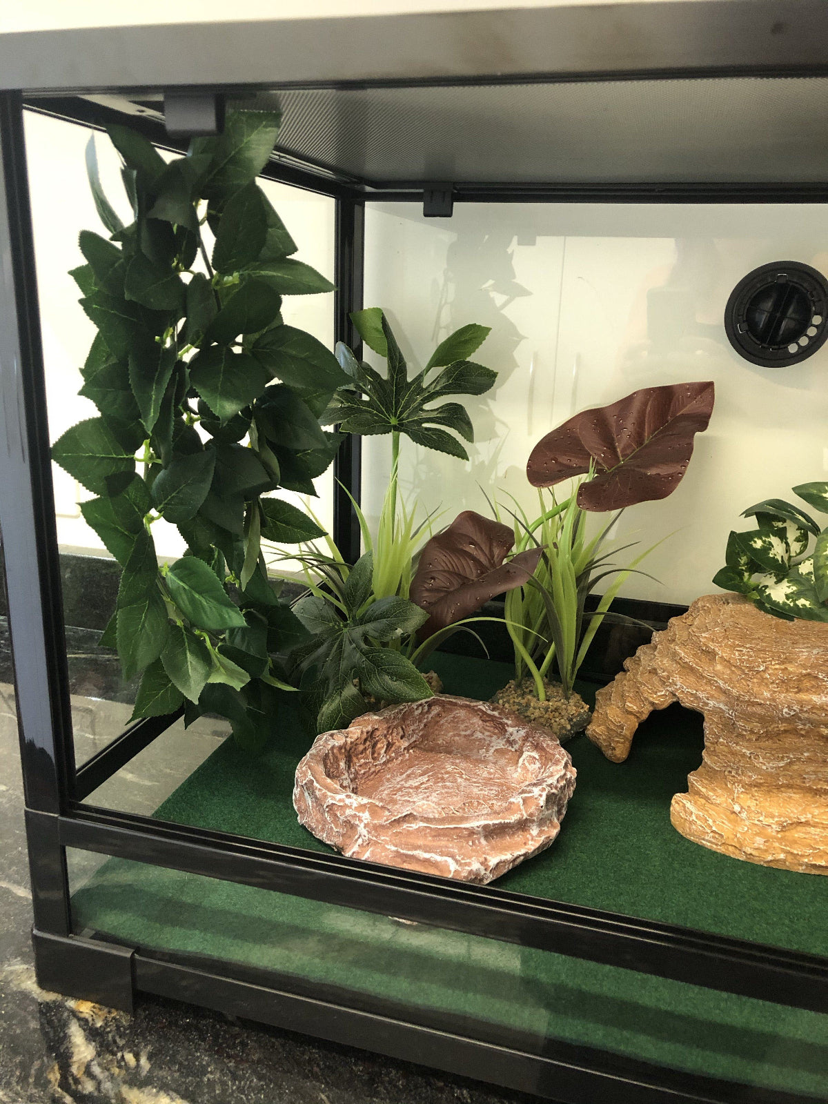 Komodo Rainforest Canopy - Tank Terrarium Australia Artificial Plant