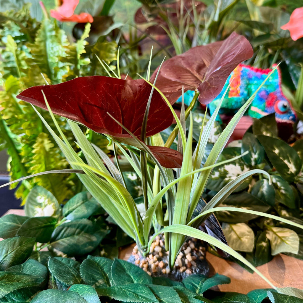Komodo Rainforest Canopy - Tank Terrarium Australia Artificial Plant