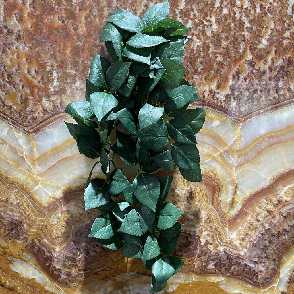 Sumatra Hanging Vine Large - Tank Terrarium Australia Artificial Plant