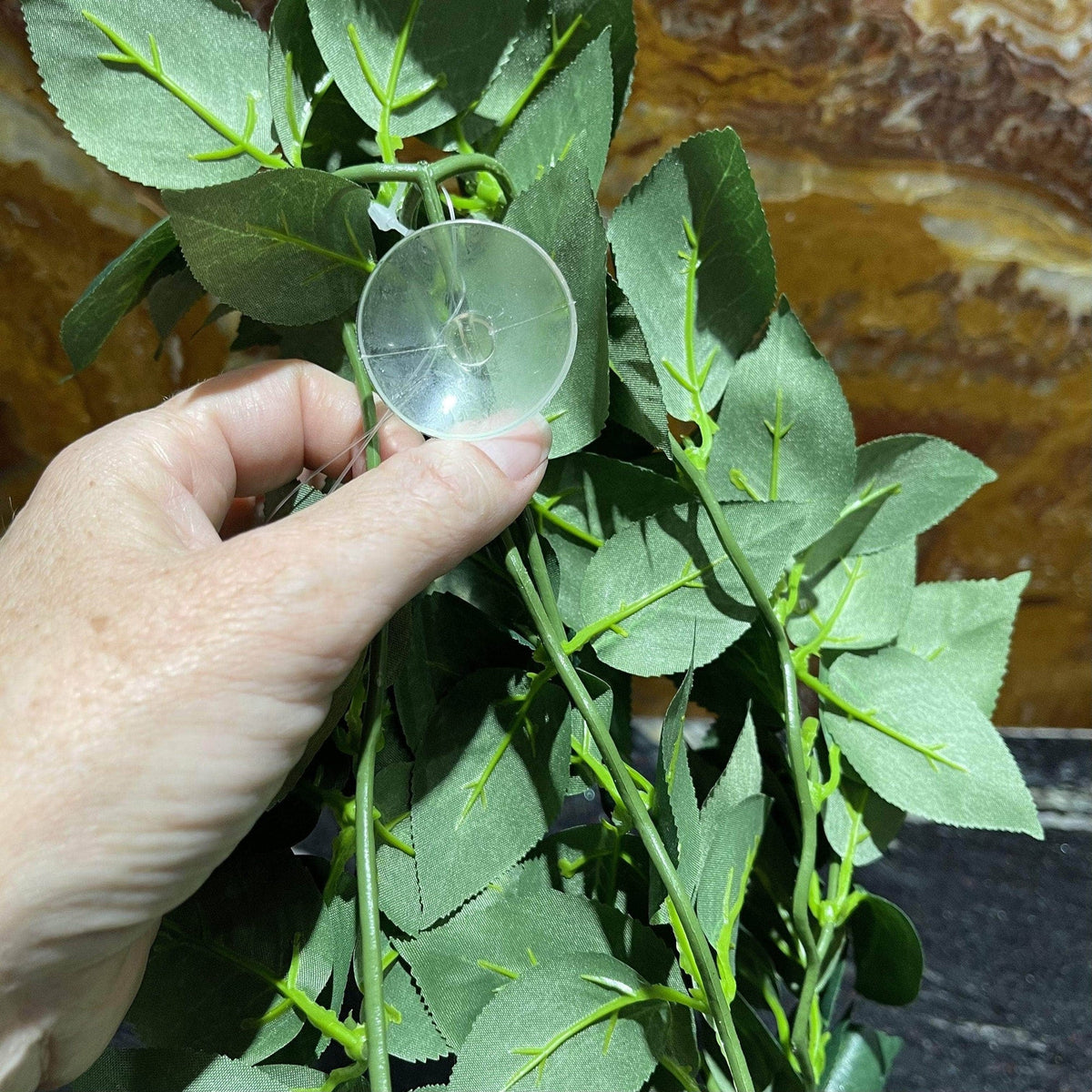 Sumatra Hanging Vine Large - Tank Terrarium Australia Artificial Plant