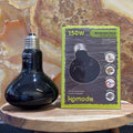 Moonlight Bulb ES 150W - Komodo - Tank Terrarium Australia Bulb