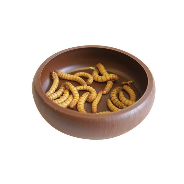Komodo Reptile Mealworm Dish - Tank Terrarium Australia Food Bowl