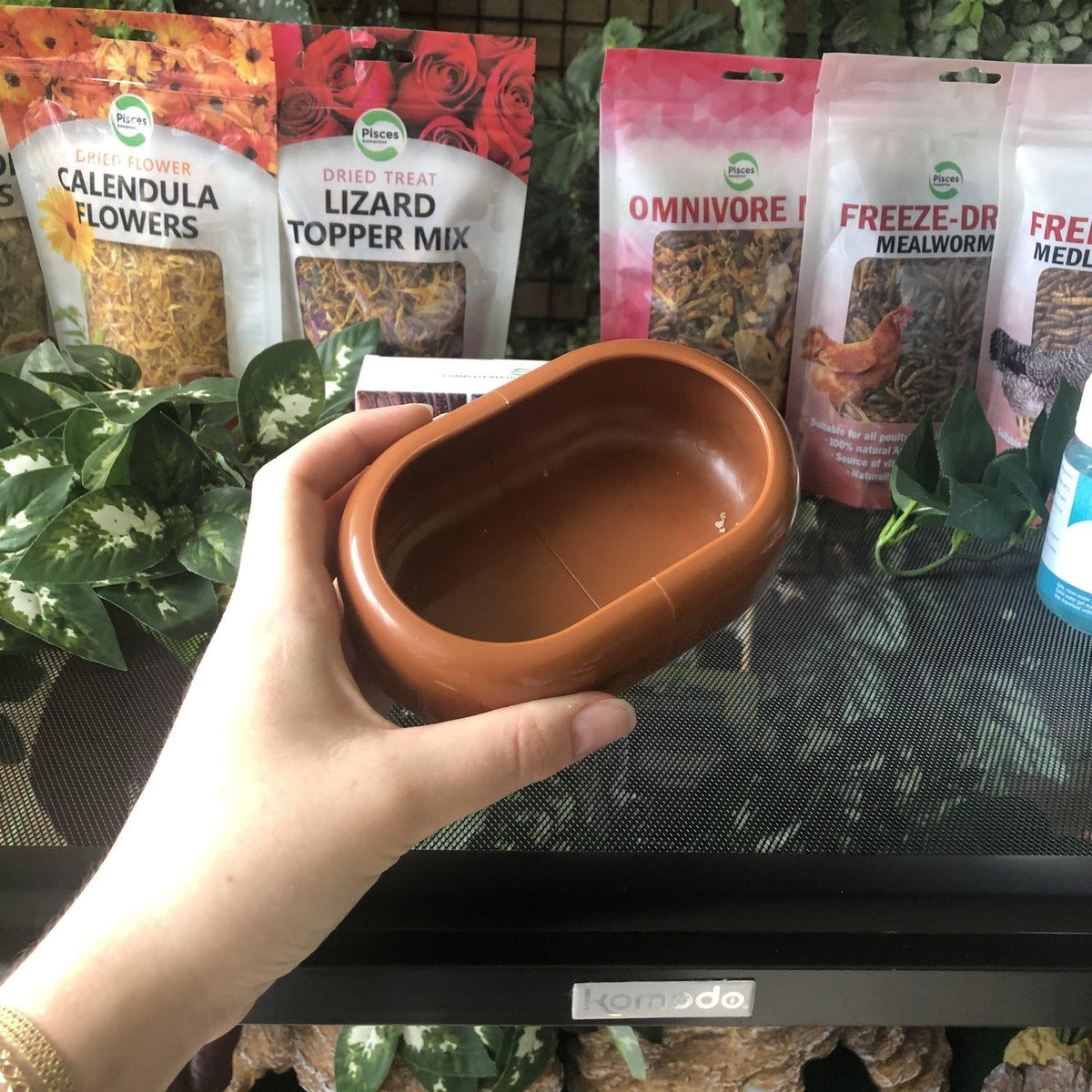 Komodo Smart Live Food Feeding Dish - Tank Terrarium Australia Food Bowl