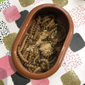 Komodo Smart Live Food Feeding Dish - Tank Terrarium Australia Food Bowl