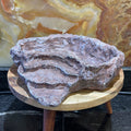 Komodo Terraced Dish Brown Large - Tank Terrarium Australia Food Bowl