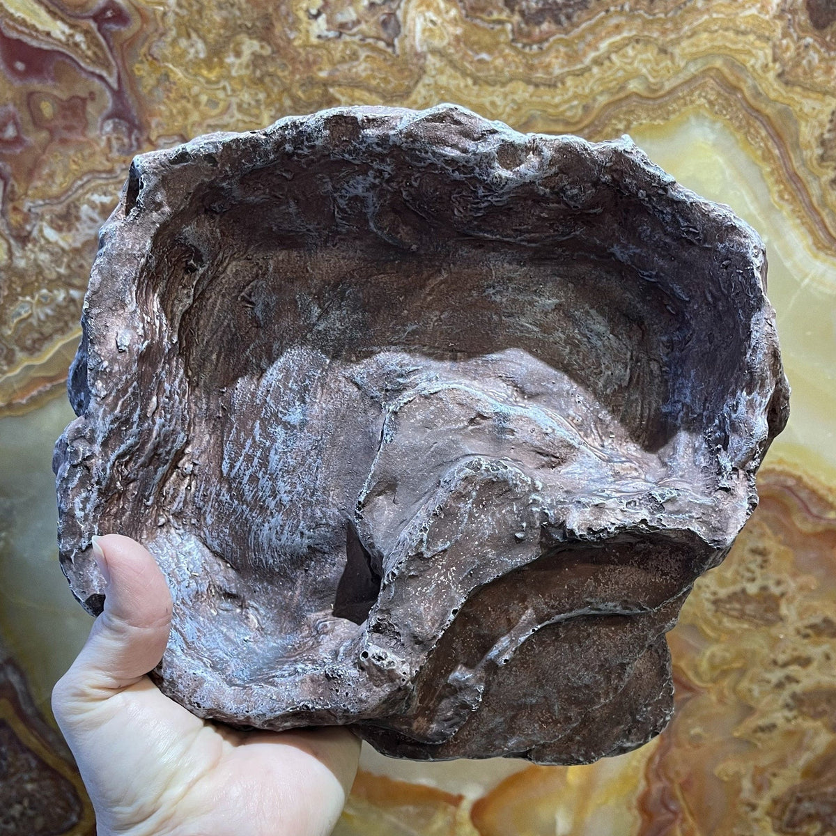 Komodo Terraced Dish Brown Large - Tank Terrarium Australia Food Bowl