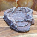 Komodo Terraced Dish Brown Small - Tank Terrarium Australia Food Bowl