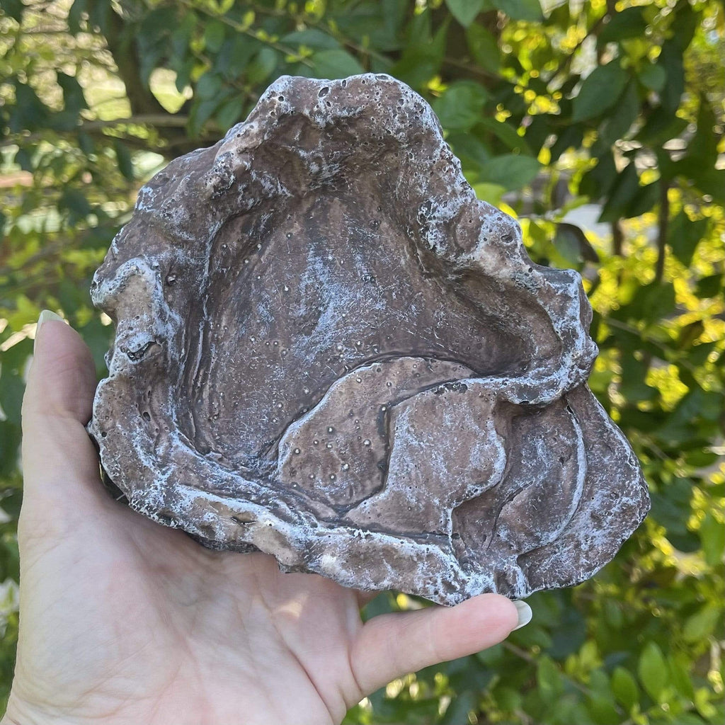 Komodo Terraced Dish Brown Small - Tank Terrarium Australia Food Bowl