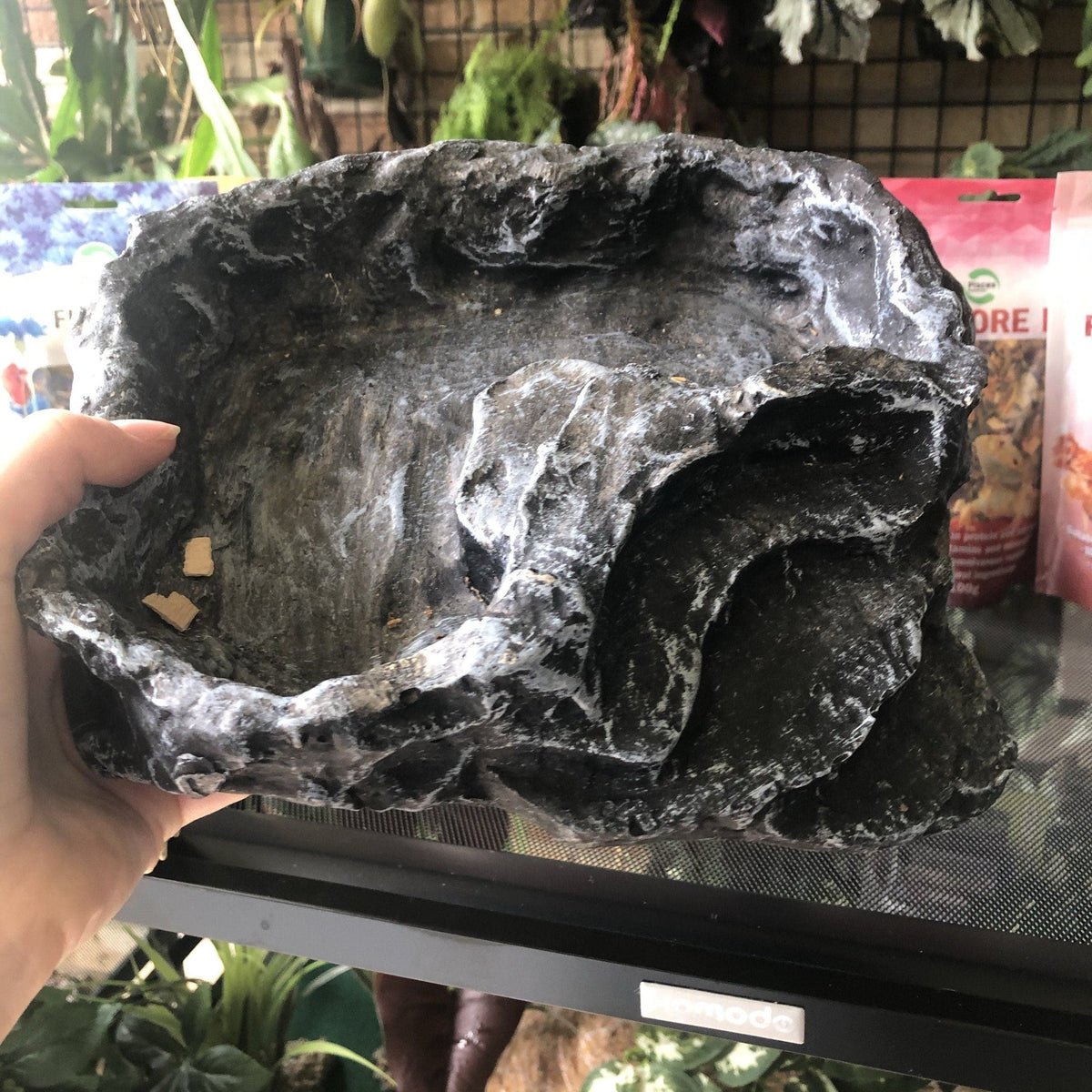 Komodo Terraced Dish Grey Large - Tank Terrarium Australia Food Bowl