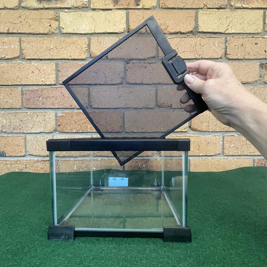 Nano Glass Habitat 21 × 21 × 15cm - Komodo - Tank Terrarium Australia Nano Habitats