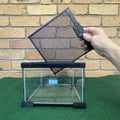 Nano Glass Habitat 21 × 21 × 15cm - Komodo - Tank Terrarium Australia Nano Habitats