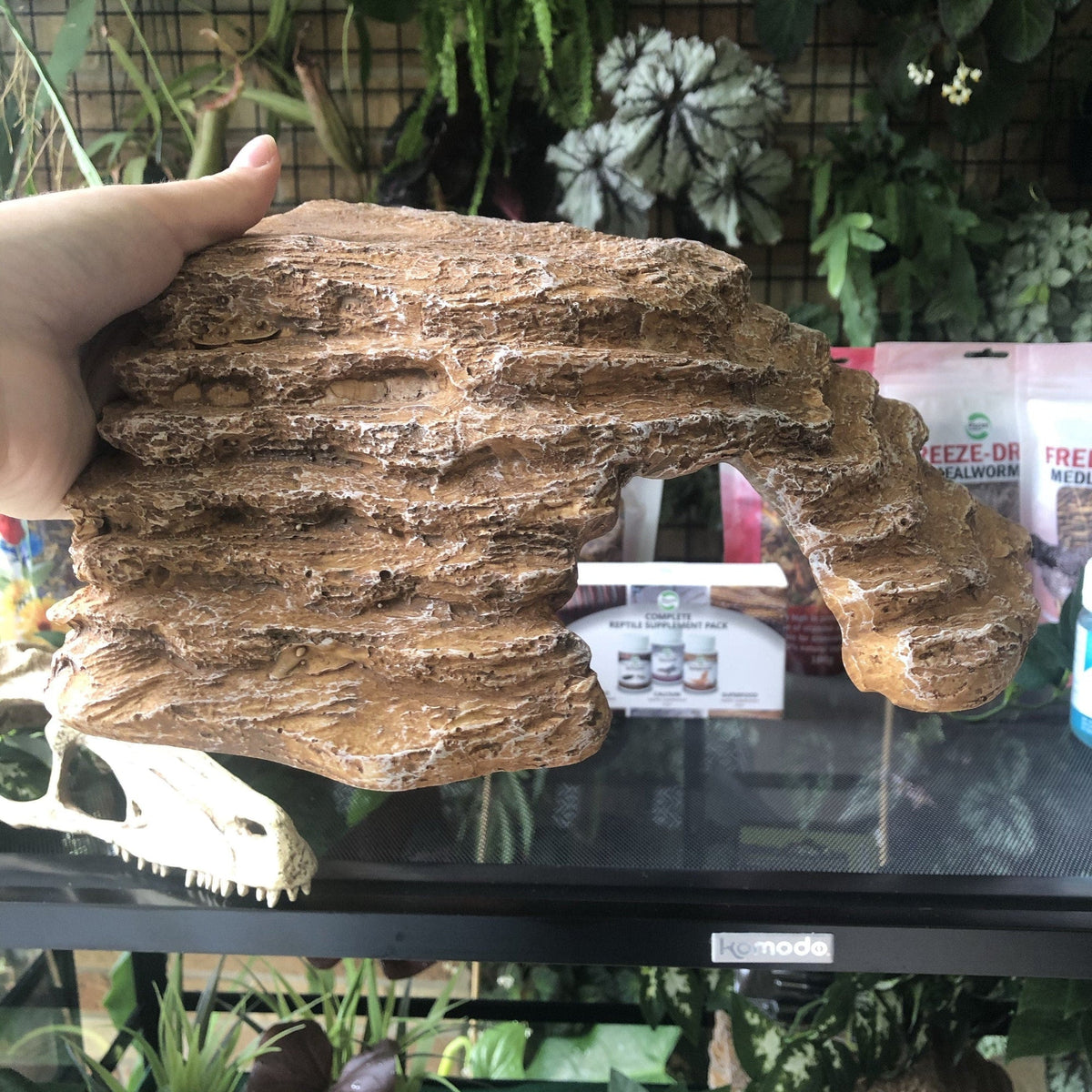 Corner Basking Platform Ramp Sandstone - Komodo - Tank Terrarium Australia Resin Rock Decor