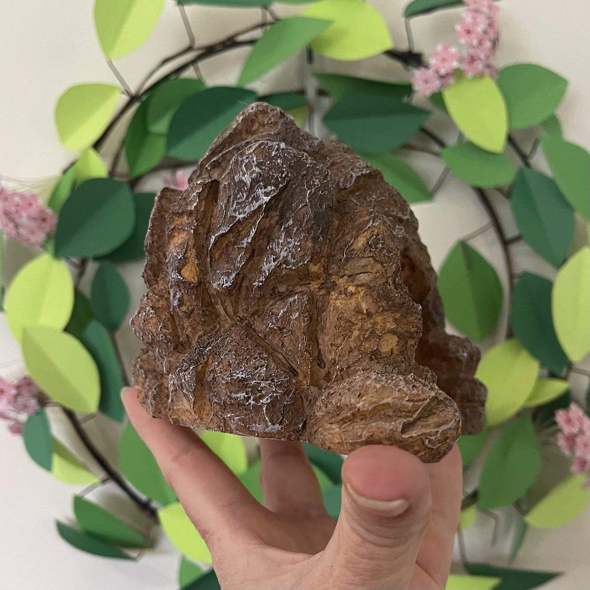 Cave Den Brown - Komodo - Tank Terrarium Australia Resin Rock Decor