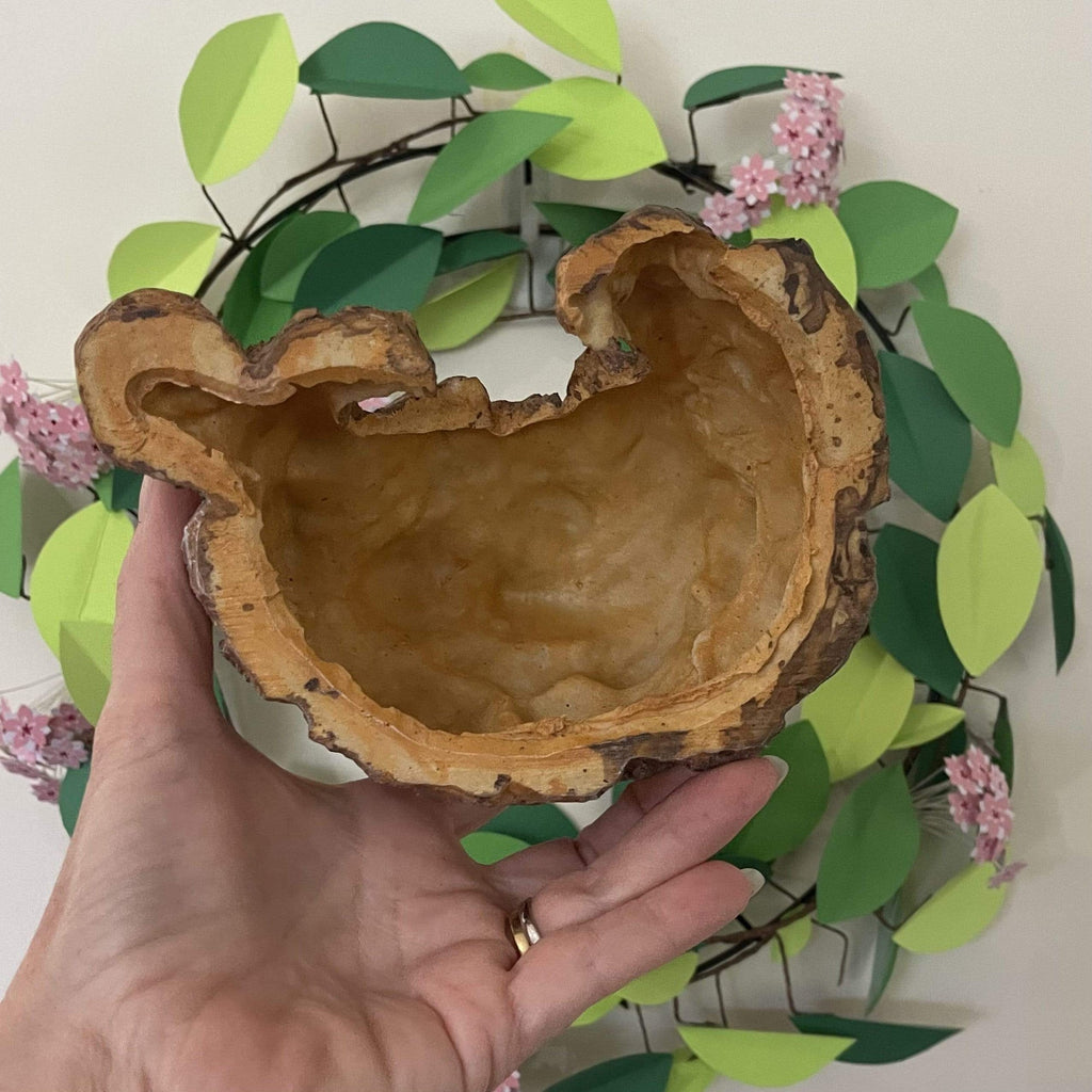 Cave Den Brown - Komodo - Tank Terrarium Australia Resin Rock Decor