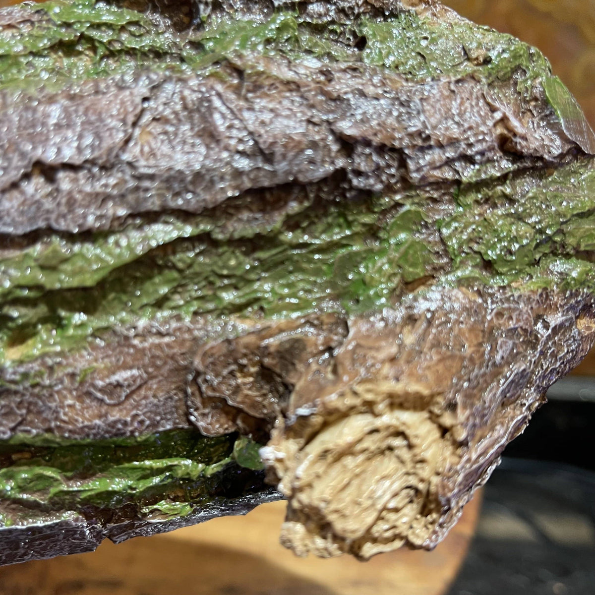 Forest Log Hiding Den 23cm - Komodo - Tank Terrarium Australia Resin Rock Decor