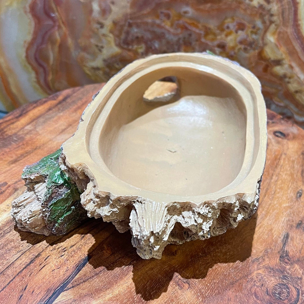Forest Log Hiding Den 23cm - Komodo - Tank Terrarium Australia Resin Rock Decor