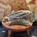 Forest Log Hiding Den 23cm - Komodo - Tank Terrarium Australia Resin Rock Decor