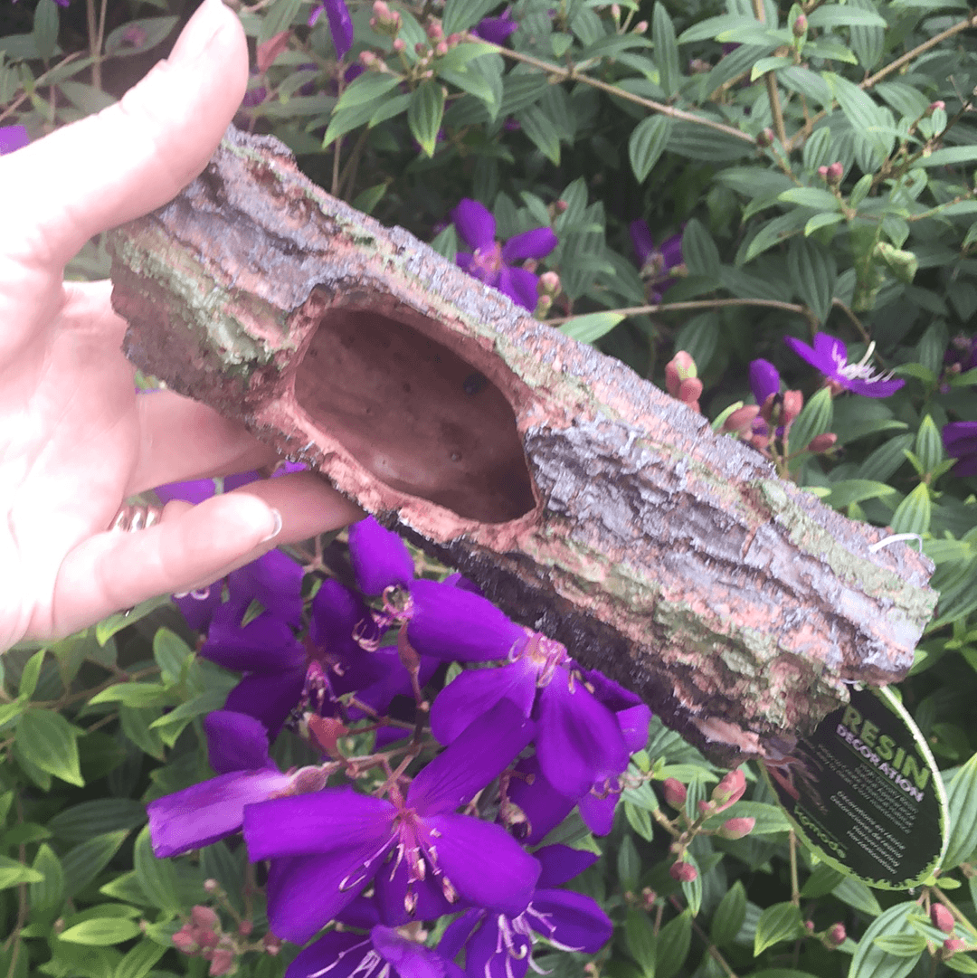 Forest Log Small - Komodo - Tank Terrarium Australia Resin Rock Decor