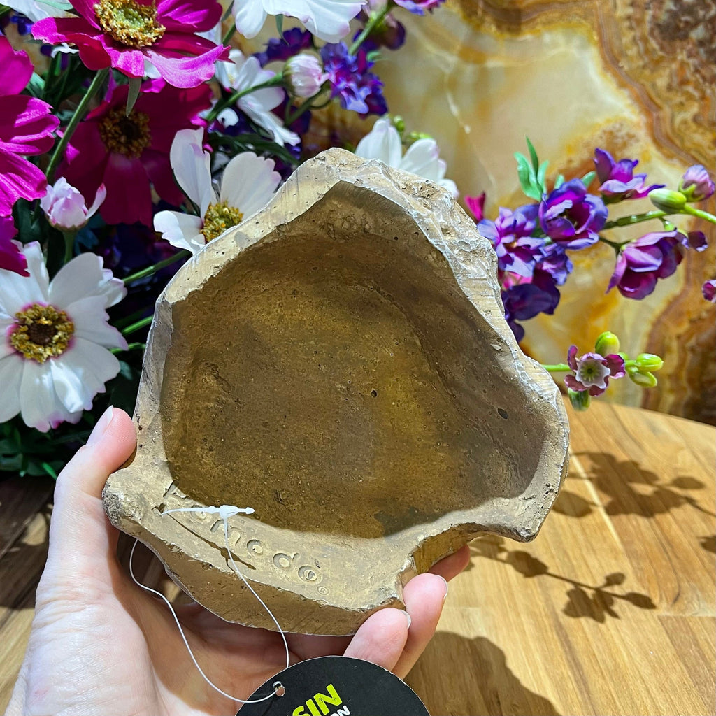 Komodo Reptile Rock Den Sandstone Small - Tank Terrarium Australia Resin Rock Decor