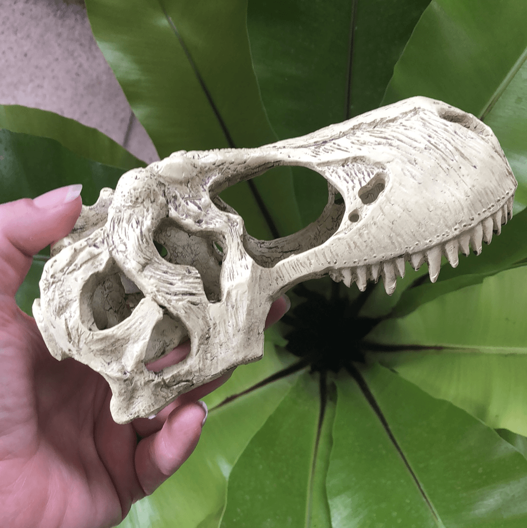Komodo T-Rex Skull Large - Tank Terrarium Australia Resin Rock Decor