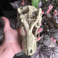 Komodo T-Rex Skull Large - Tank Terrarium Australia Resin Rock Decor