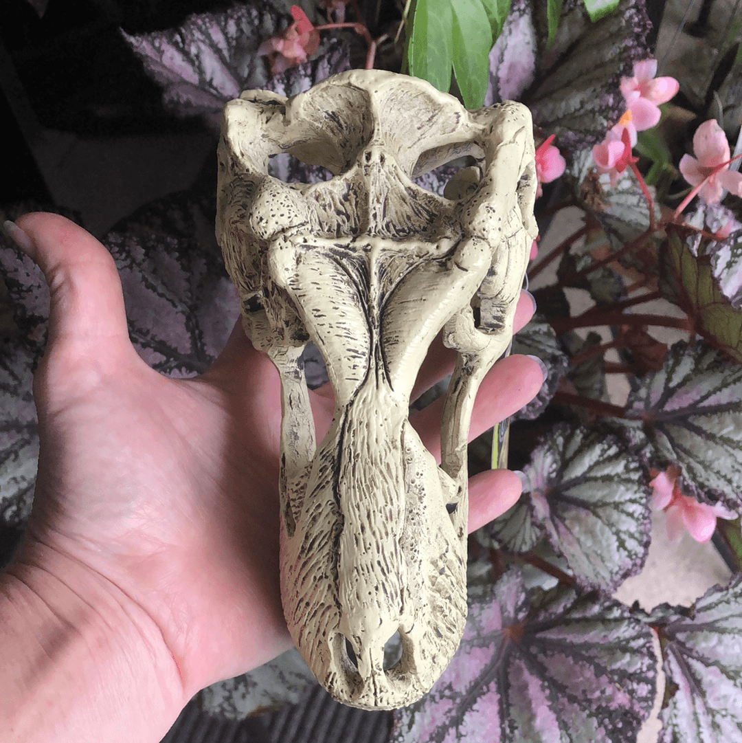 Komodo T-Rex Skull Large - Tank Terrarium Australia Resin Rock Decor