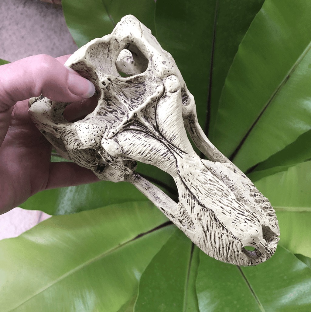 Komodo T-Rex Skull Large - Tank Terrarium Australia Resin Rock Decor