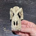 Komodo T-Rex Skull Small - Tank Terrarium Australia Resin Rock Decor
