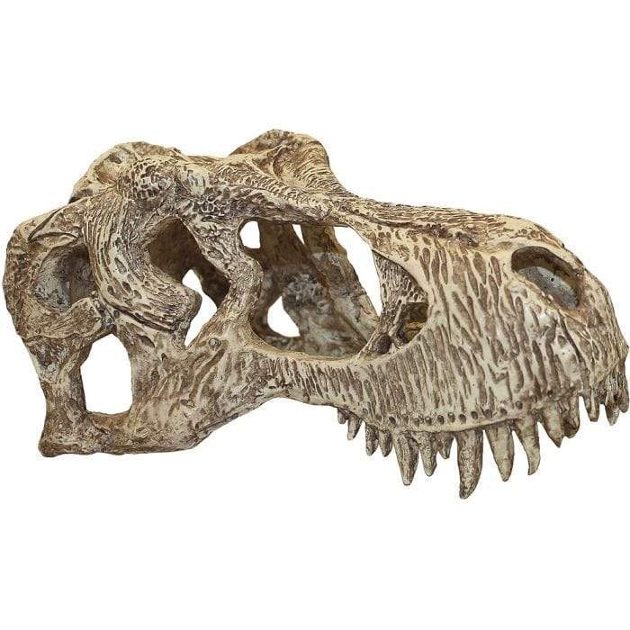Komodo T-Rex Skull Small - Tank Terrarium Australia Resin Rock Decor