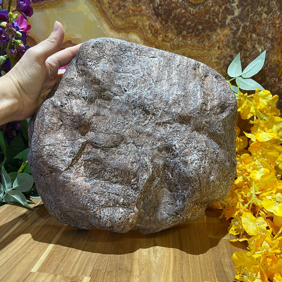 Komodo Wide Entrance Rock Den Extra-Large - Tank Terrarium Australia Resin Rock Decor