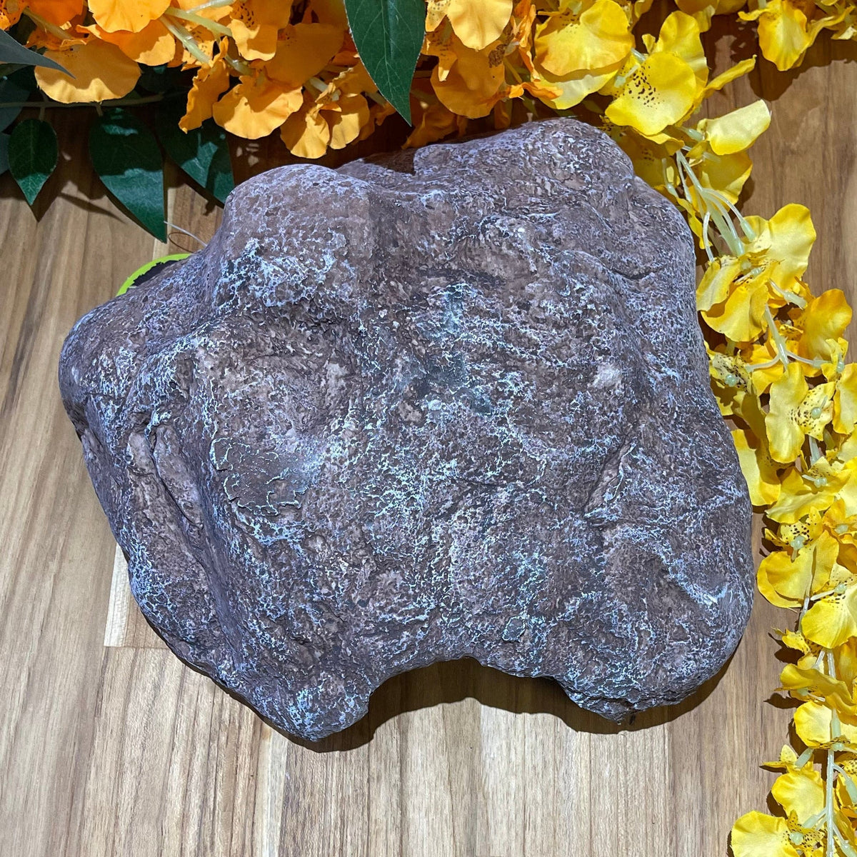 Komodo Wide Entrance Rock Den Large - Tank Terrarium Australia Resin Rock Decor
