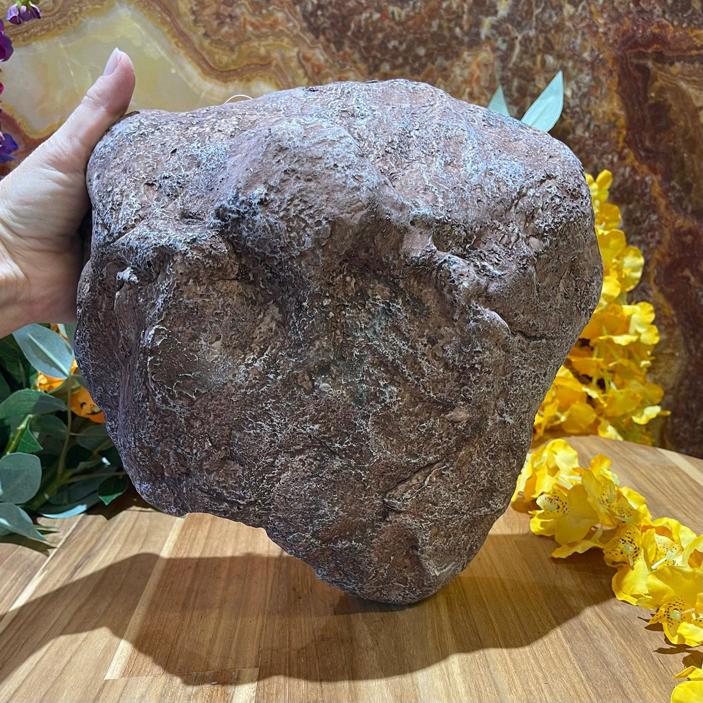 Komodo Wide Entrance Rock Den Large - Tank Terrarium Australia Resin Rock Decor