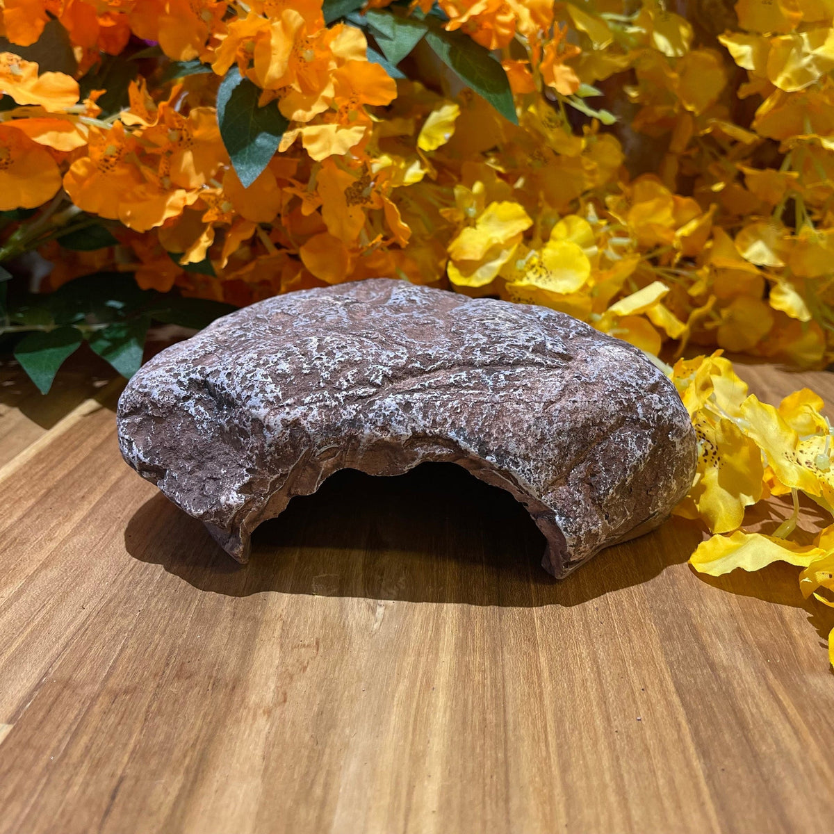 Komodo Wide Entrance Rock Den Small - Tank Terrarium Australia Resin Rock Decor
