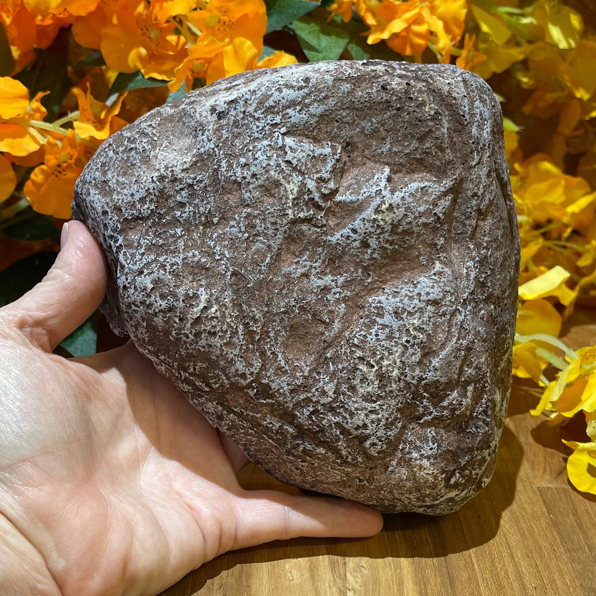 Komodo Wide Entrance Rock Den Small - Tank Terrarium Australia Resin Rock Decor