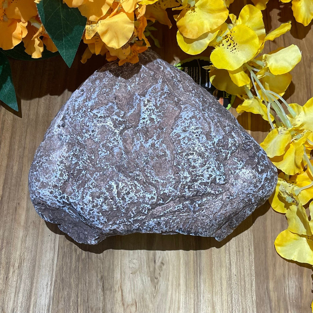 Komodo Wide Entrance Rock Den Small - Tank Terrarium Australia Resin Rock Decor