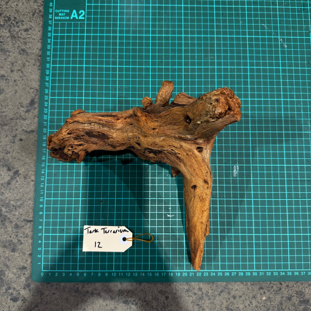 Wood 12 - Mekong River Driftwood Large - One Only - Tank Terrarium Australia Woods