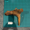 Wood 12 - Mekong River Driftwood Large - One Only - Tank Terrarium Australia Woods