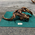 Wood 33 - Mekong River Driftwood Massive - One Only - Tank Terrarium Australia Woods