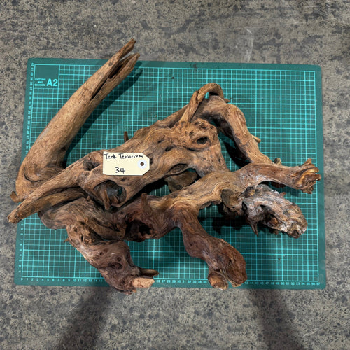 Wood 34 - Mekong River Driftwood Massive - One Only - Tank Terrarium Australia Woods
