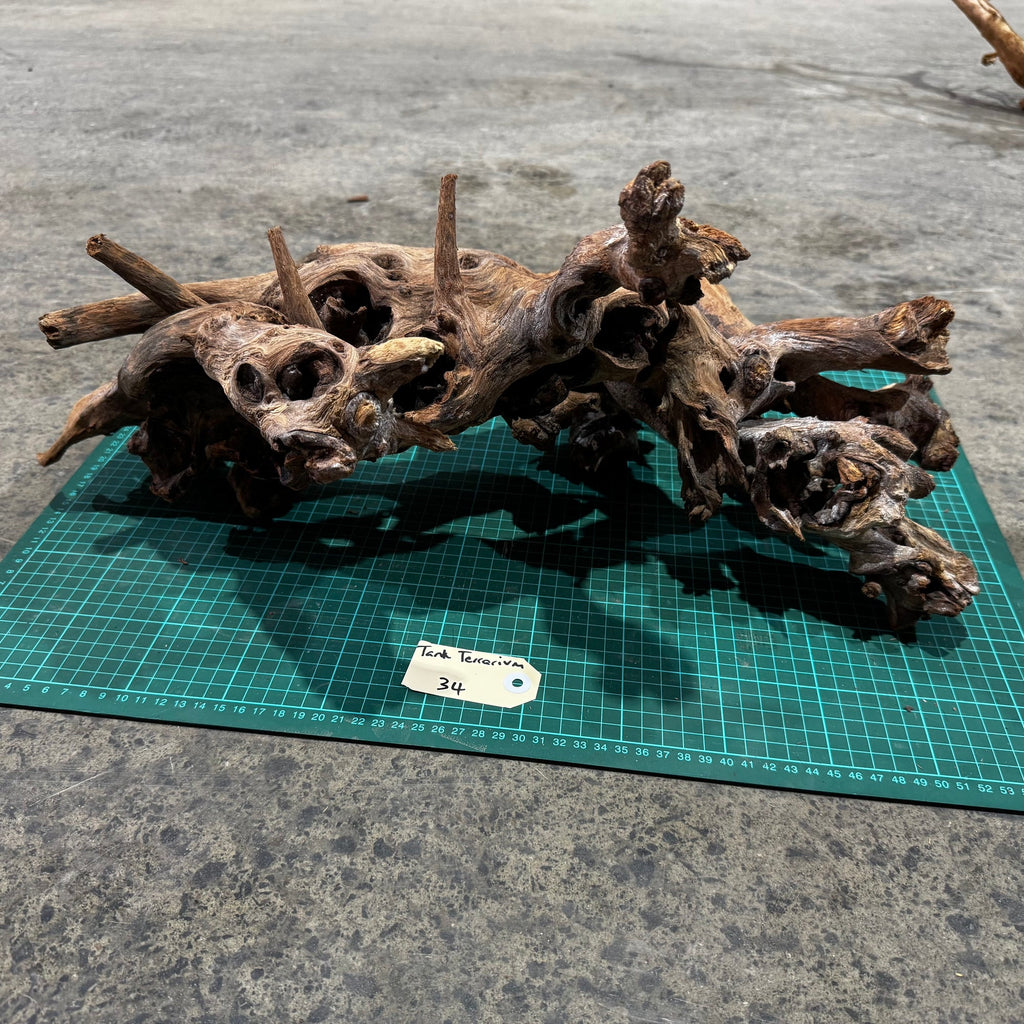 Wood 34 - Mekong River Driftwood Massive - One Only - Tank Terrarium Australia Woods