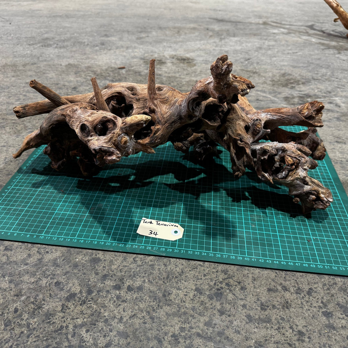 Wood 34 - Mekong River Driftwood Massive - One Only - Tank Terrarium Australia Woods
